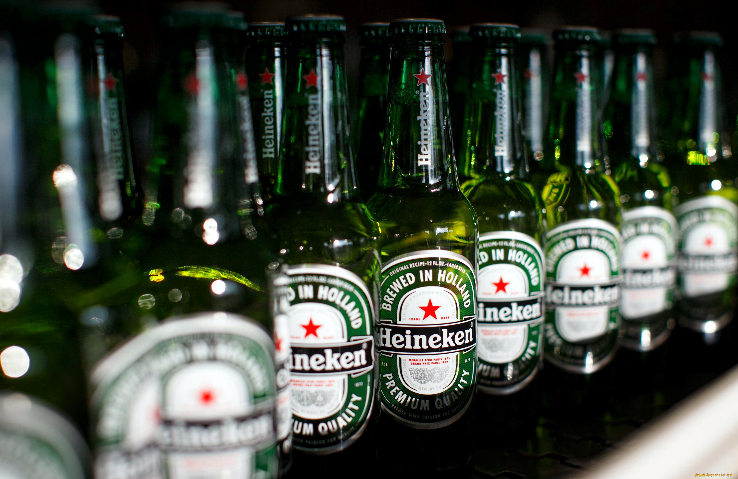 , heineken, 